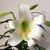 Margaret A. Holst's profile image