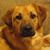 Amy Bart's profile image