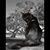 Karen Fragola Dejong's profile image