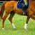 Pamela Johnson's profile image