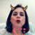 Donna Rose Lamm's profile image