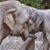 Maribel Staner's profile image