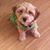 Linda Myers's profile image