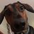 Kerrie Greenwood-Easterday's profile image