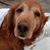 Marisela Salinas Spaulding's profile image