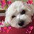 Mary Sue Tucker's profile image