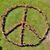 Maureen Templeman's profile image