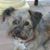 Gail Moore's profile image