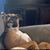 Lisa Lee Phillips's profile image