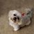 Carolyn Weeden Nettles's profile image