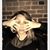 Nelly Buono's profile image