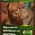 Todd N Holly Retterer's profile image