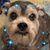 Leslie Pate's profile image