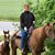 Sharon Thome Verduin's profile image