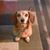 Mary Beth Fuerst's profile image