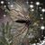 Barb Groothoff Litersky's profile image