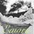 Joedy Rebecca Mashburn Branch's profile image