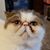 Matt Shaver's profile image