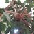 Pamela Chandler's profile image