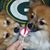 Tracy Ostrander's profile image