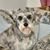 Nancy Dorman's profile image