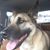 Don Dickel's profile image