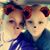 Christina Kremer's profile image