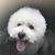 Angie Mutu's profile image