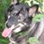 Cat Figueroa's profile image