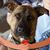 Monica Rose Buckner's profile image