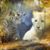 Sherry Boland Green's profile image