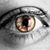 Amy Masorti Lohman's profile image