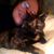 Jennie L. Willardson's profile image