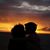 Brodis-Daphne Brown's profile image
