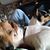 Shawn H. Crozier's profile image