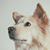 Courtney Lankford's profile image