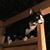 Reva Basch's profile image