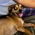Jeff Wohlcke's profile image