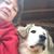 Kay Baker Glastetter's profile image