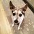 Lisa Johnson Henry's profile image