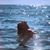 Nicole Polizois's profile image