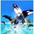 Nick Morrison's profile image