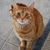 Deb Millhouse's profile image