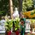 Elizabeth Ngoc Doan's profile image