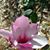 Marian Williams's profile image