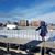 Randi Taaffe's profile image