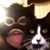 Ellen Kwolek's profile image