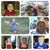 Lonnie Larabee's profile image