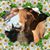 Rexane Bolsinger's profile image