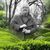 Ranae Kesecker's profile image